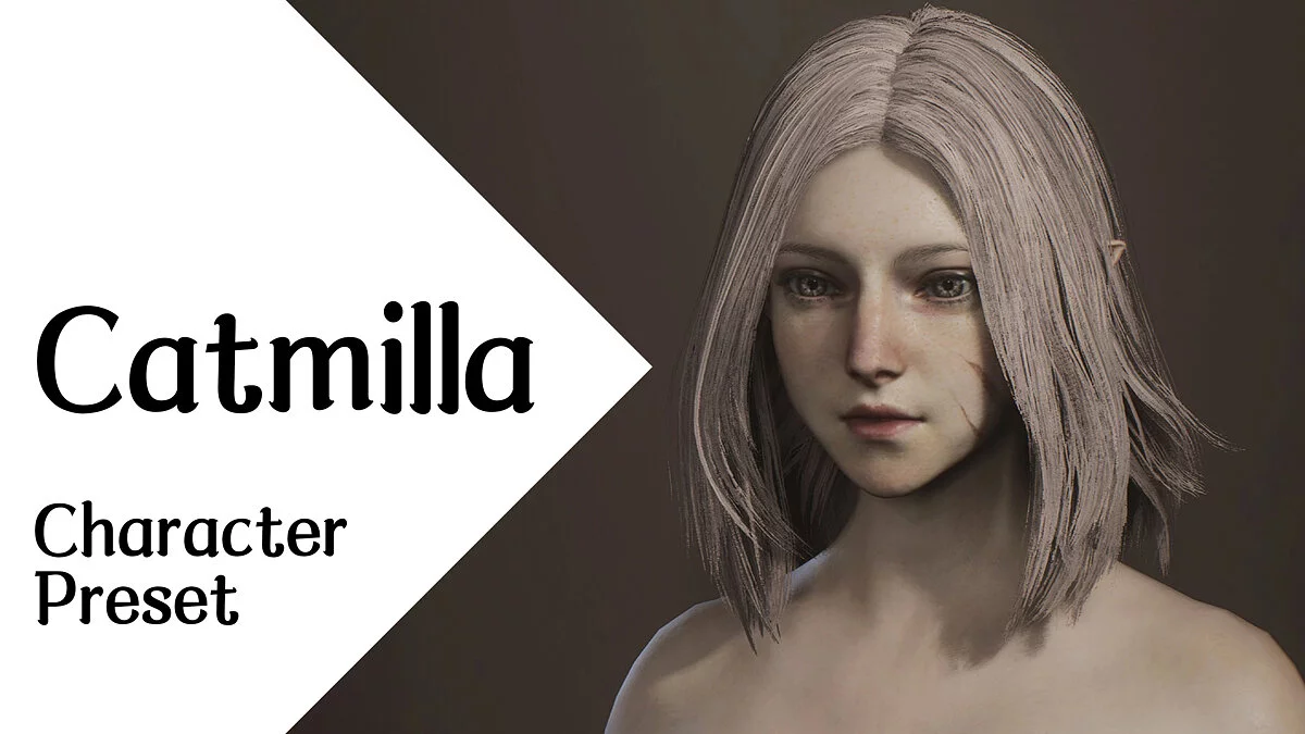 Dragon&#039;s Dogma 2 — Catmilla - personaje preestablecido