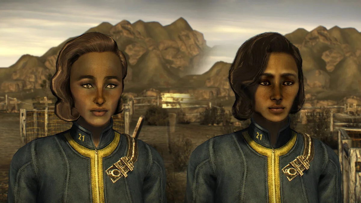 Fallout: New Vegas — Karakter Modifikasyonu