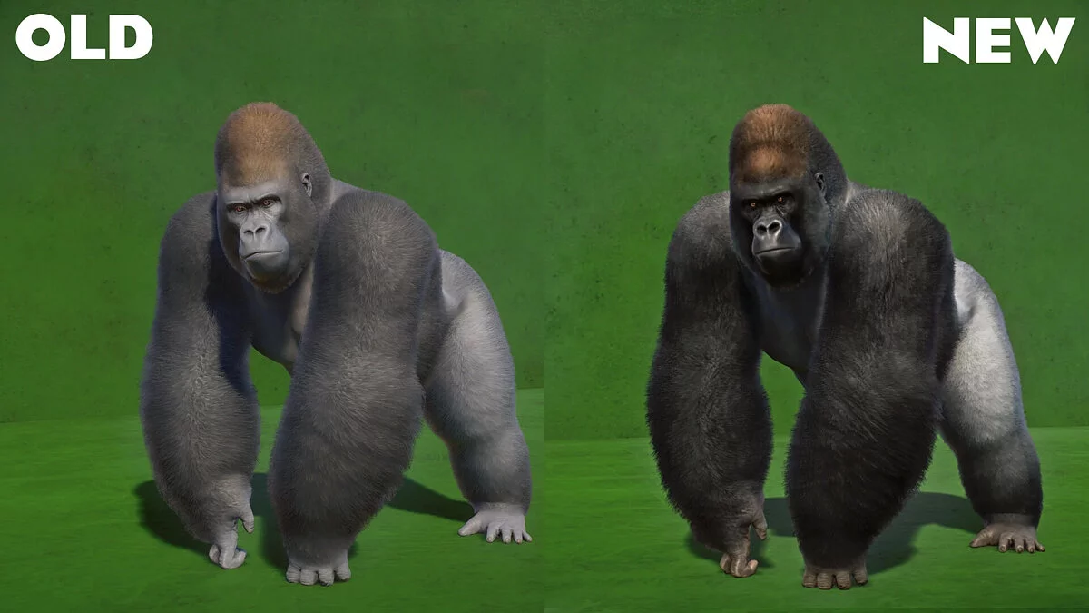 Planet Zoo — Batı Düzlük Gorilinin Yeniden Yapımı