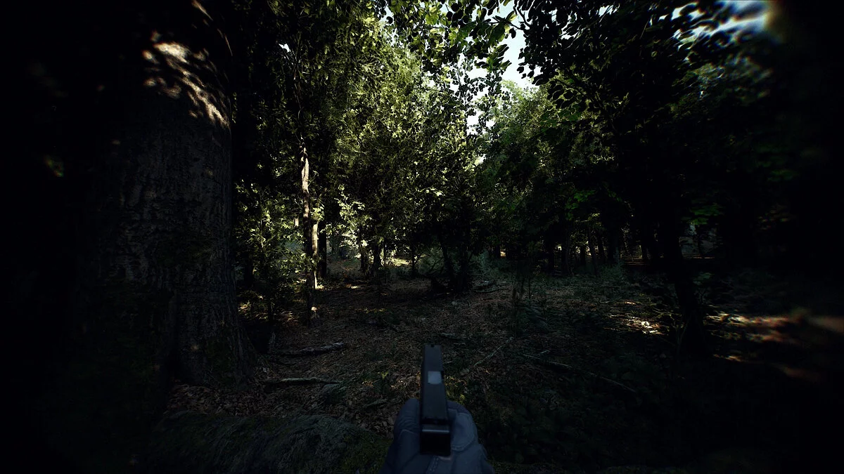 Bodycam — Realistyczny ReShade