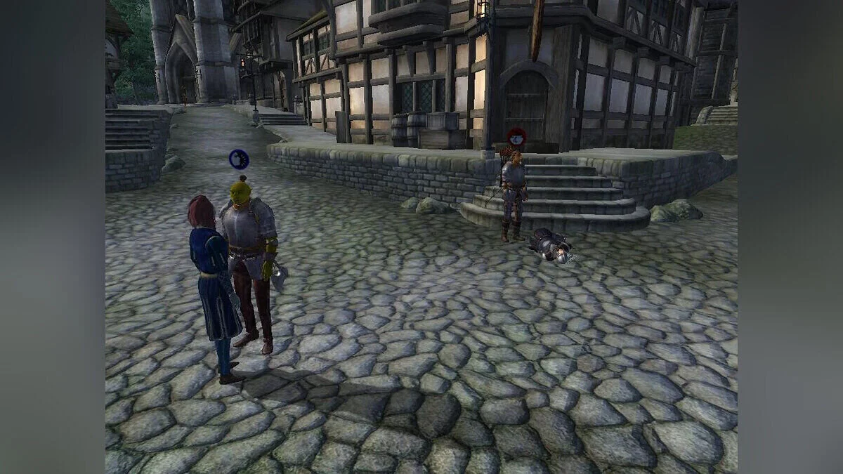 The Elder Scrolls 4: Oblivion — Kooperatif Modu