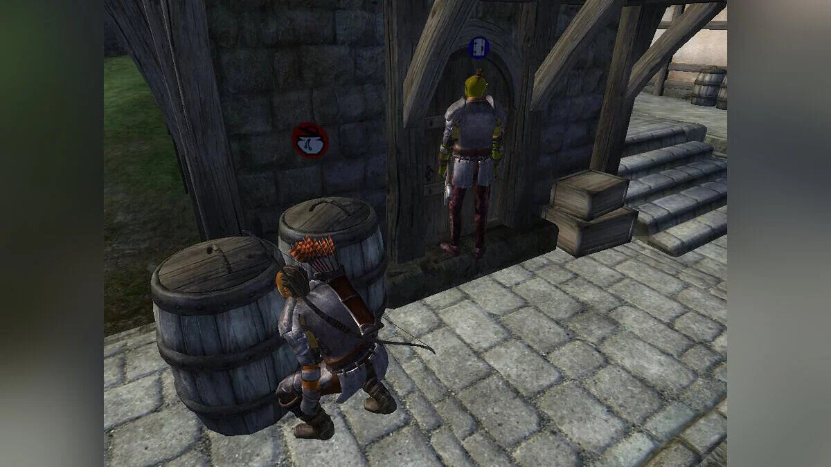 The Elder Scrolls 4: Oblivion — Kooperatif Modu