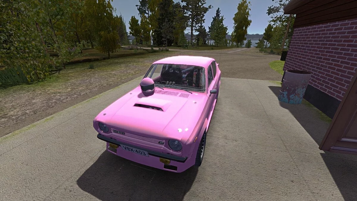 My Summer Car — Rally Satsuma, Satsuma for rally. Lots of beer and food. The plot is untouched