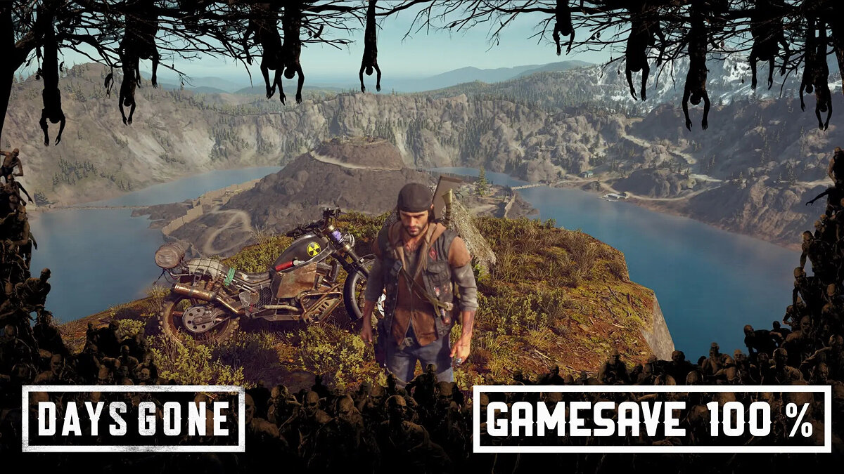 Days Gone — Game completed 100%