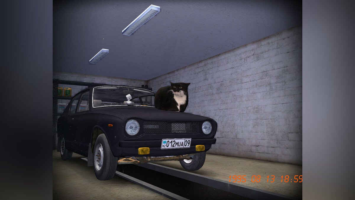 My Summer Car — Well-groomed Satsuma