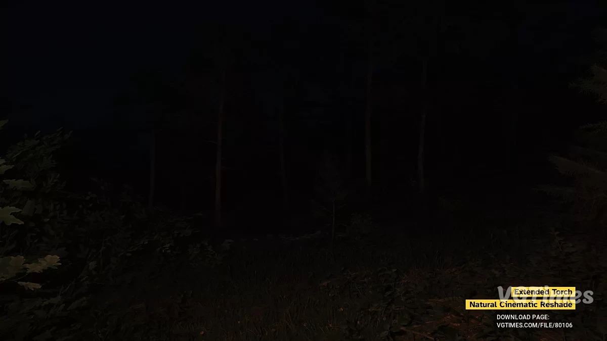 Kingdom Come: Deliverance 2 — Parlak Meşaleler