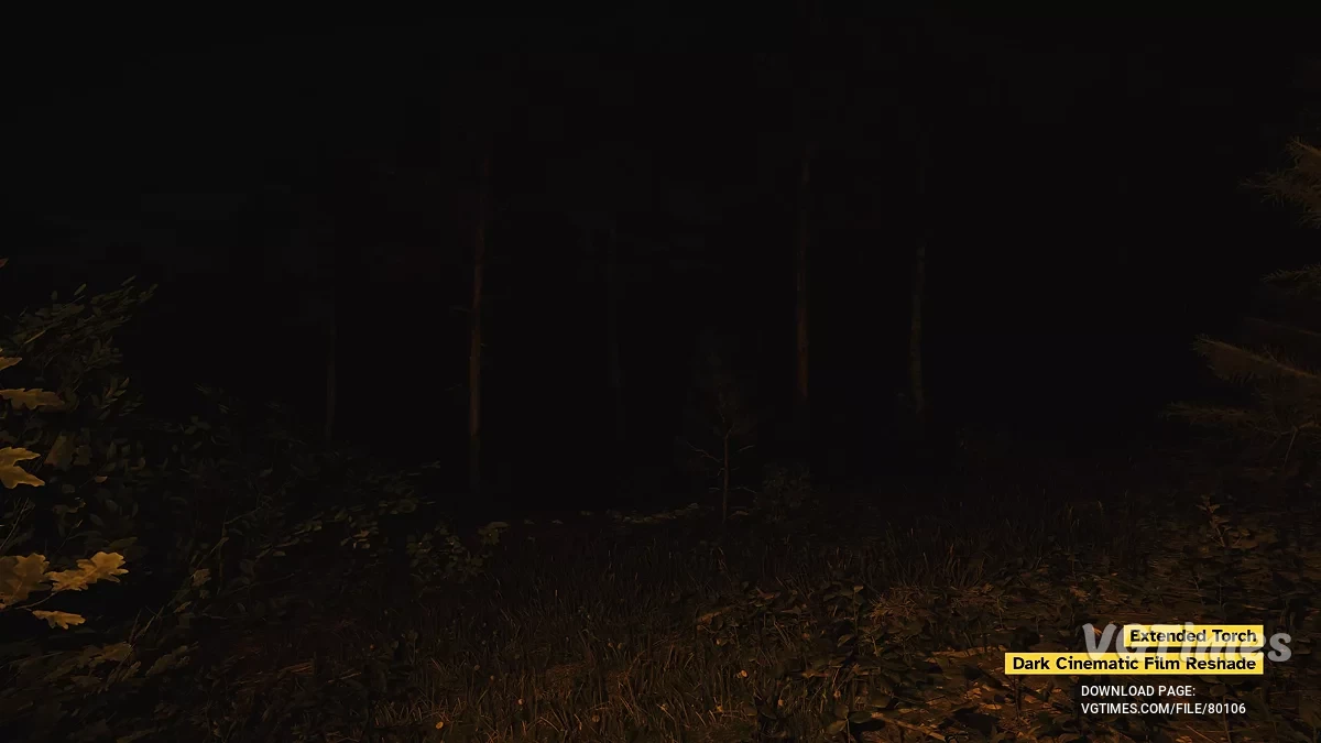 Kingdom Come: Deliverance 2 — Parlak Meşaleler
