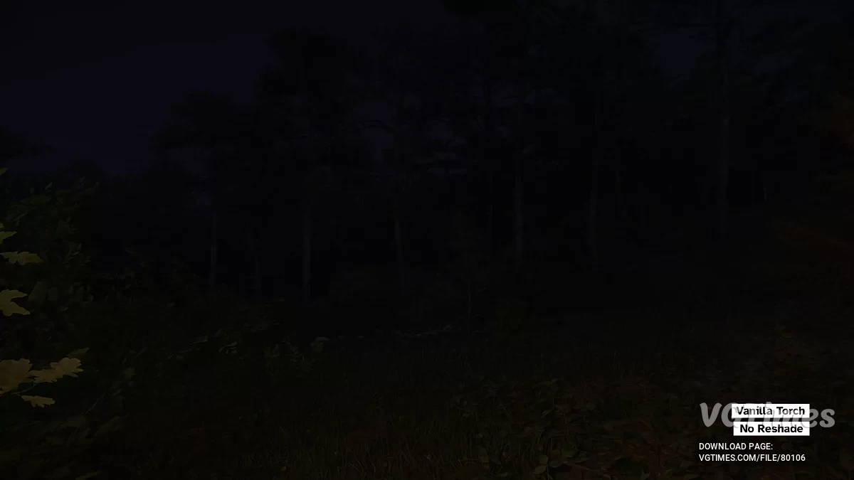 Kingdom Come: Deliverance 2 — Parlak Meşaleler