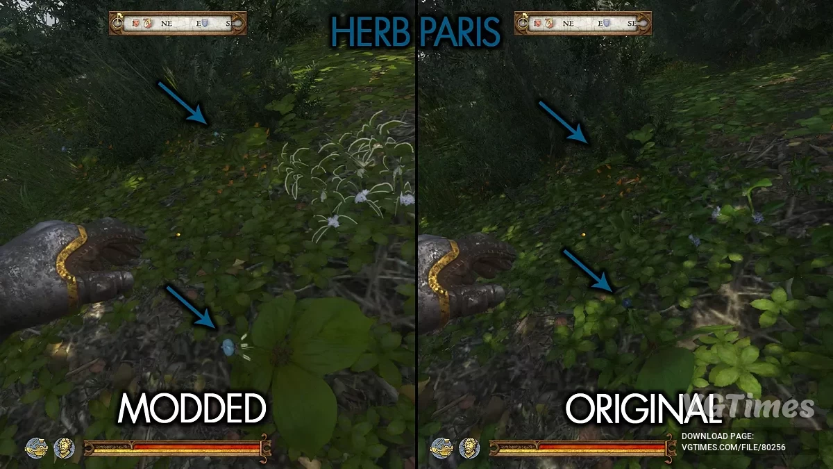 Kingdom Come: Deliverance 2 — Detecção fácil de ervas