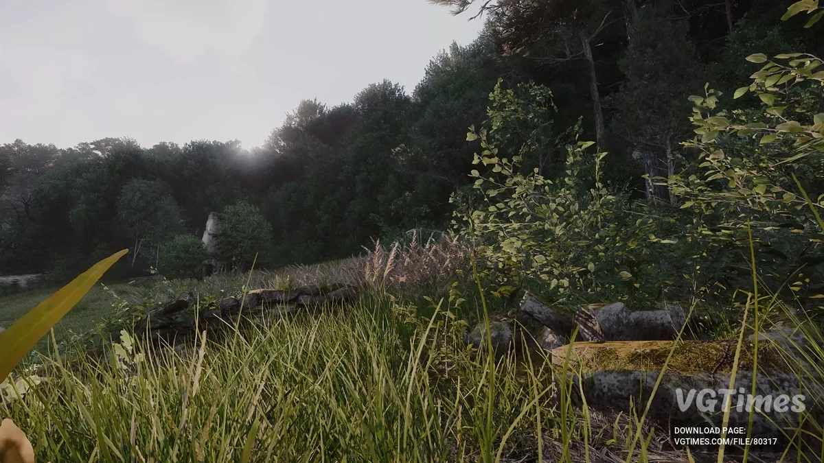 Kingdom Come: Deliverance 2 — Noble LUT — reformulação da iluminação