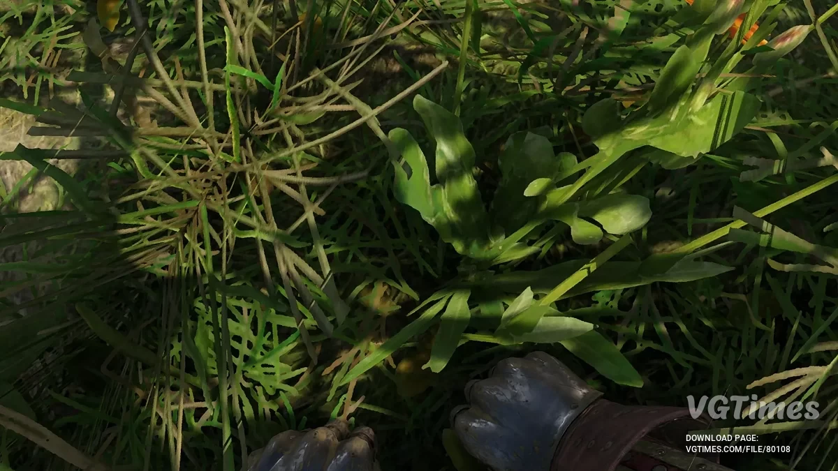 Kingdom Come: Deliverance 2 — Birinci Şahıs Görüşü Yenilemesi