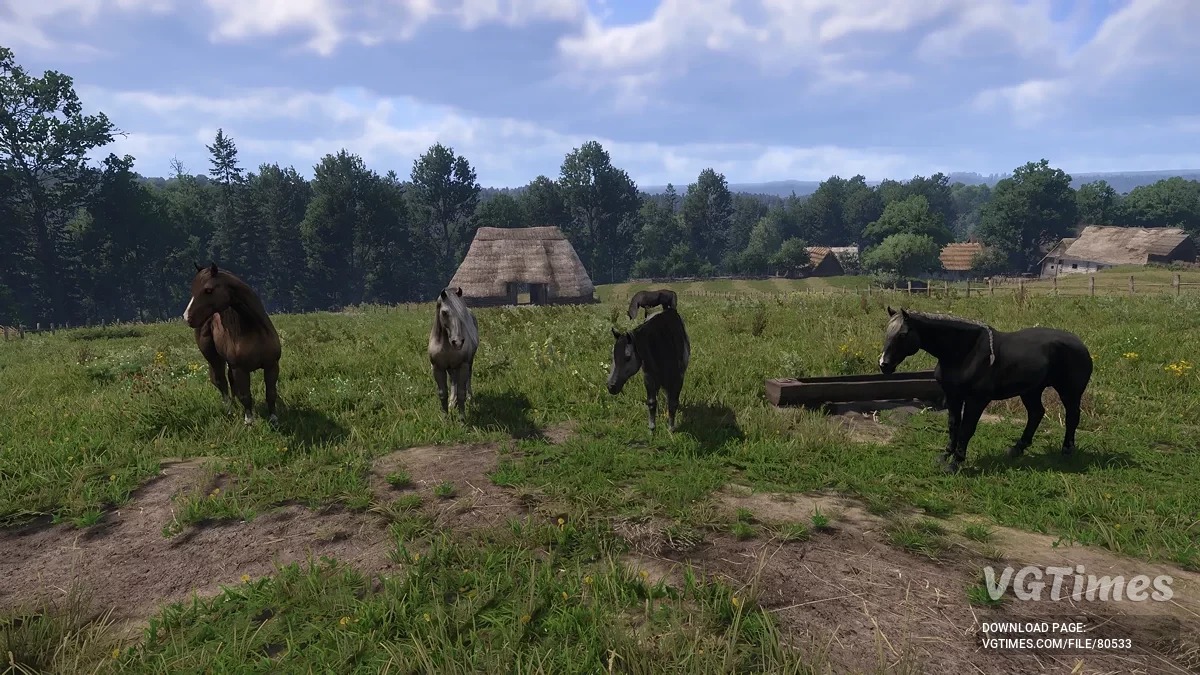 Kingdom Come: Deliverance 2 — Придбання унікальних коней