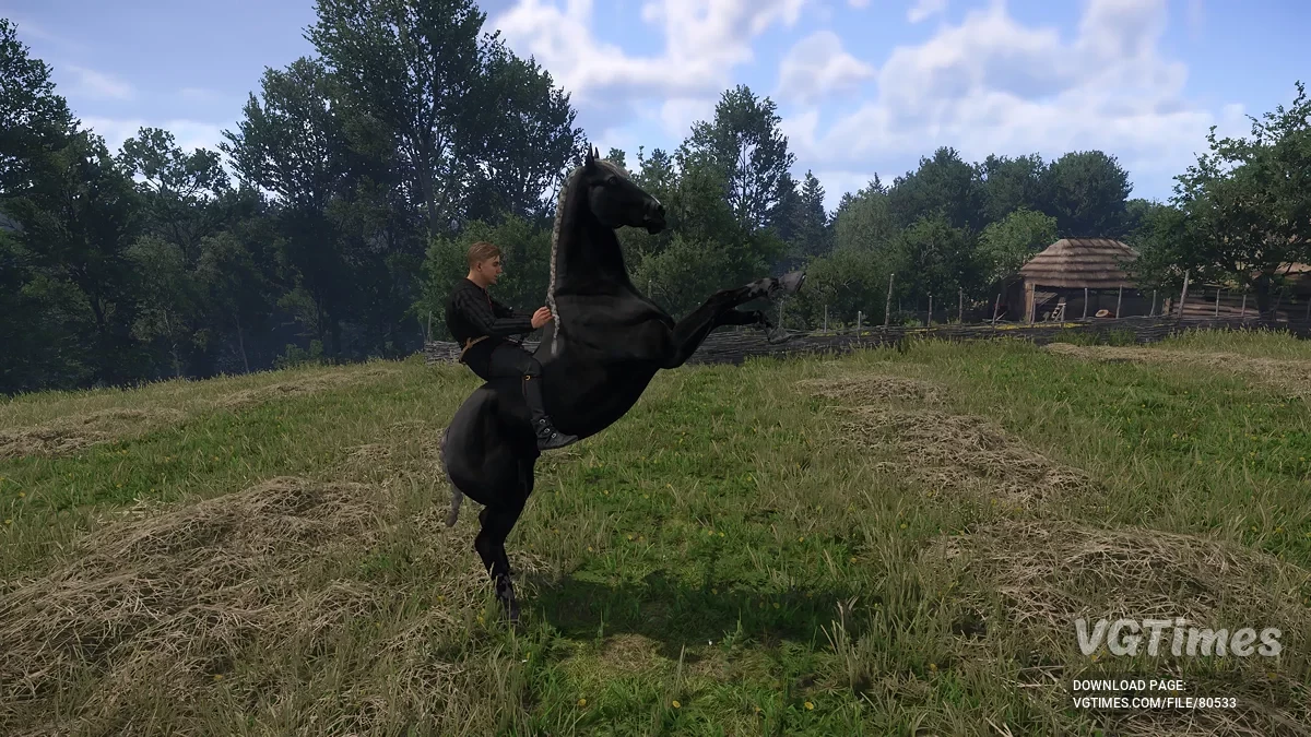 Kingdom Come: Deliverance 2 — Придбання унікальних коней