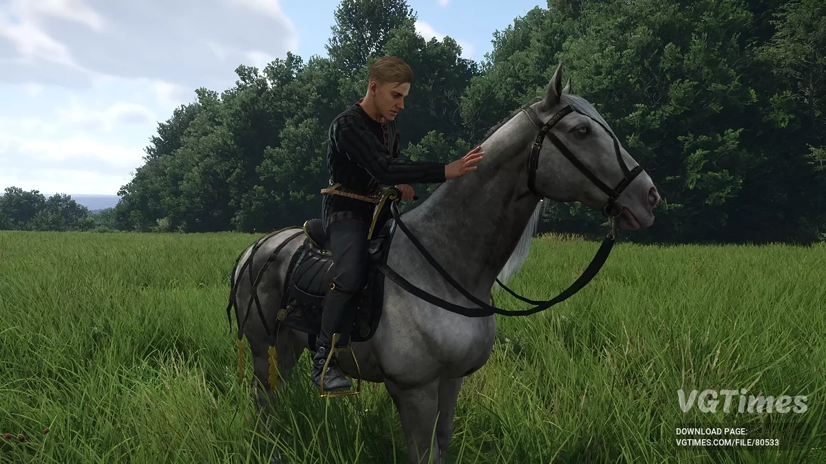 Kingdom Come: Deliverance 2 — Придбання унікальних коней