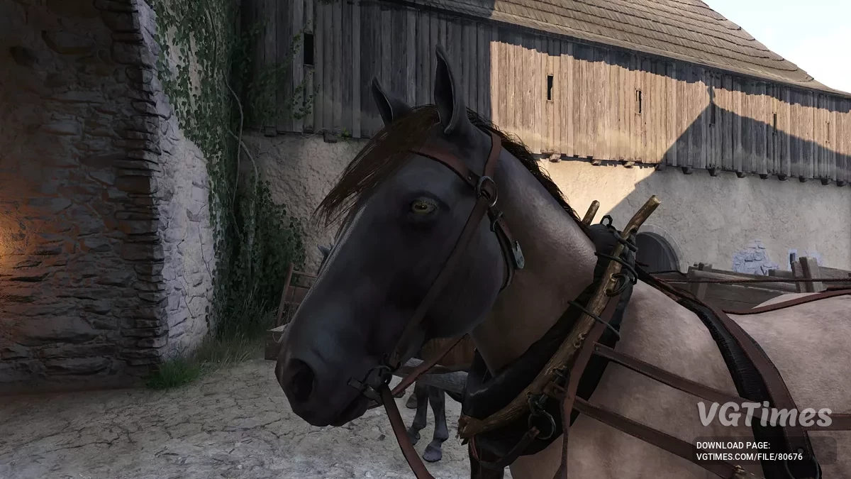 Kingdom Come: Deliverance 2 — Zwiększenie rozdzielczości tekstur dla zwierząt (4K)