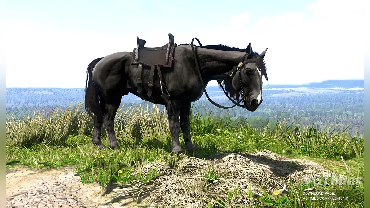 Kingdom Come: Deliverance 2 — Kuda Perang Sivka (PTF)