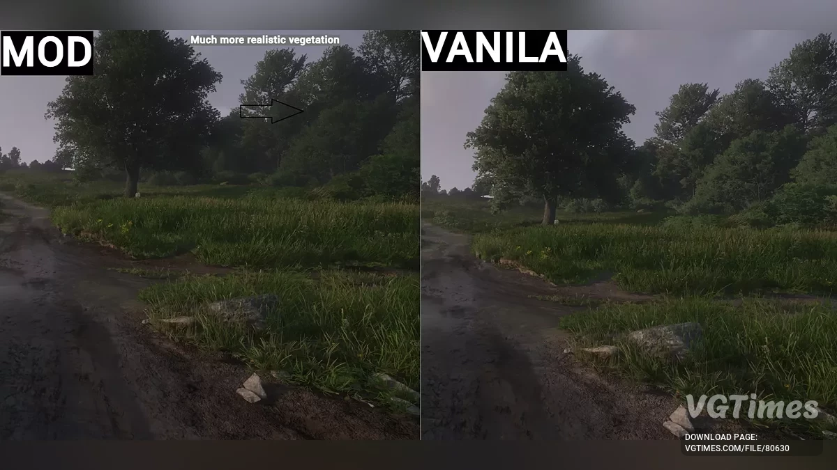 Kingdom Come: Deliverance 2 — Vegetasi yang Ditingkatkan