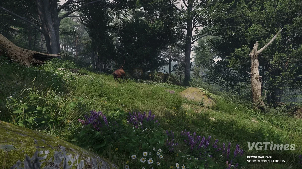 Kingdom Come: Deliverance 2 — Valor LUT — освітлення