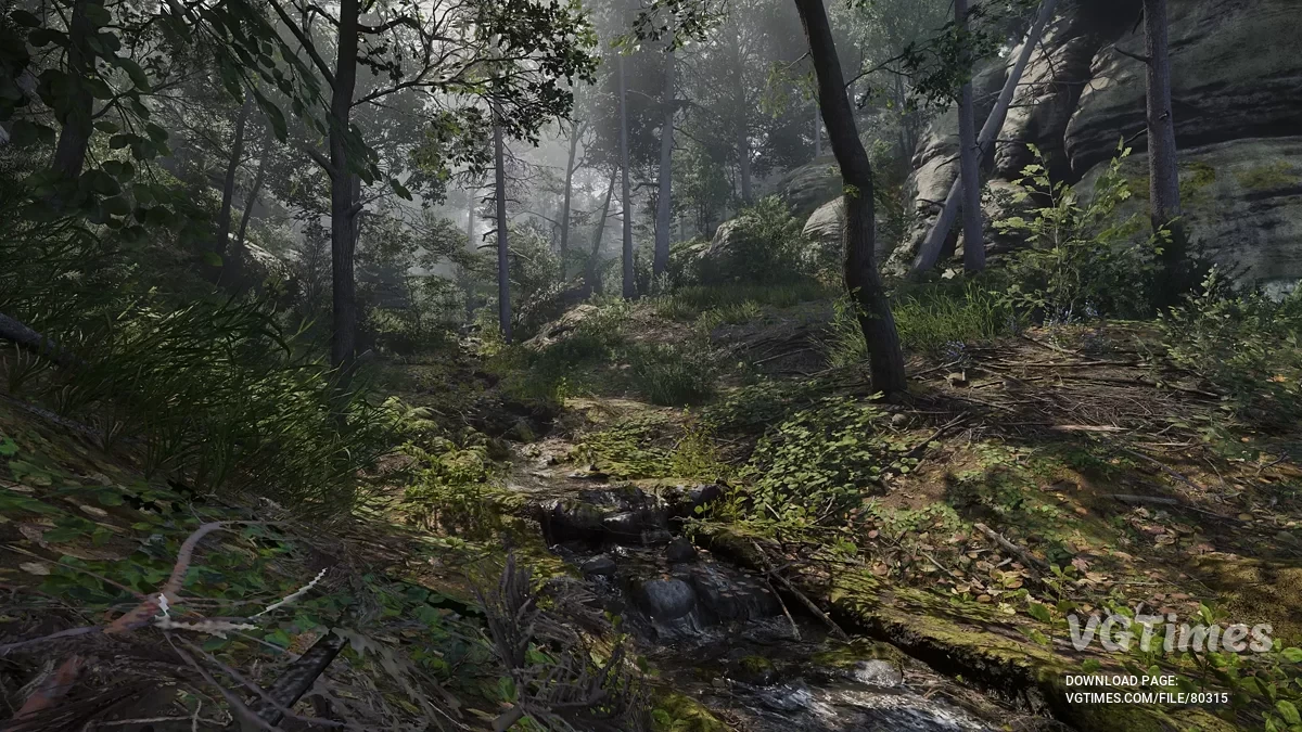 Kingdom Come: Deliverance 2 — Valor LUT — освітлення
