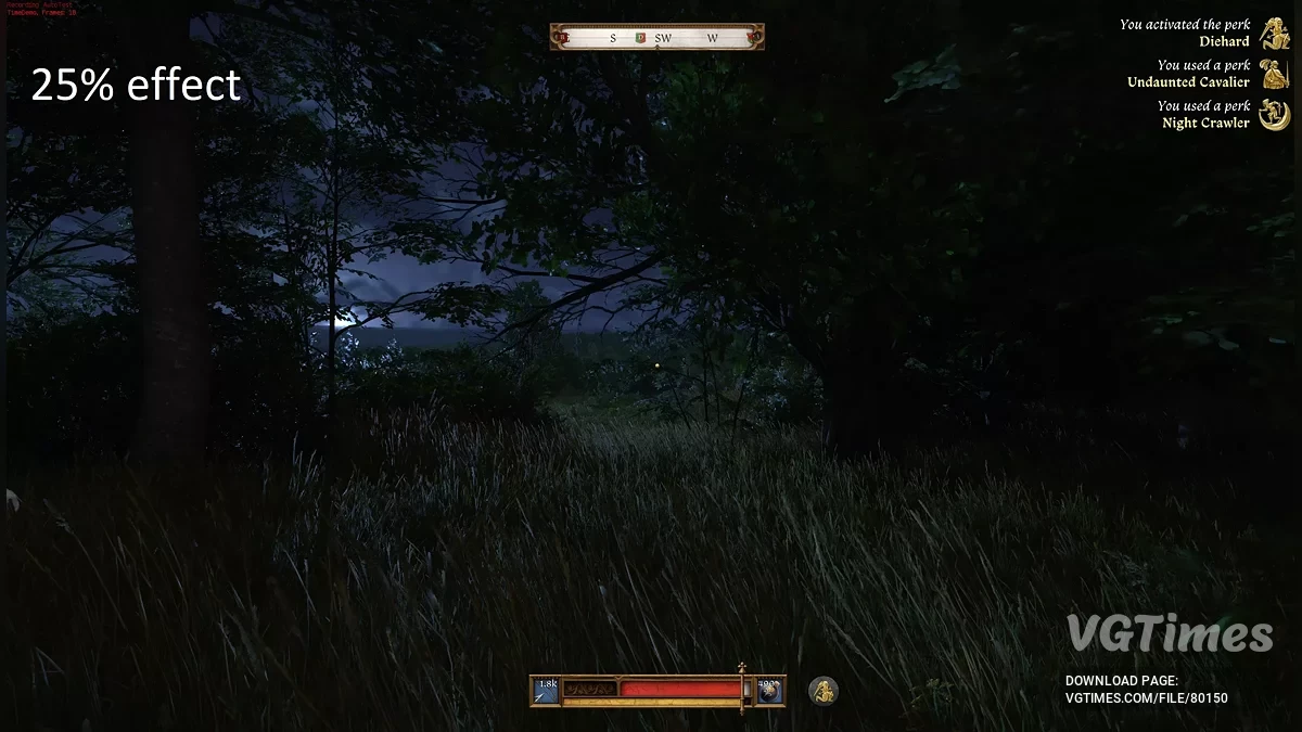 Kingdom Come: Deliverance 2 — Бачити в темряві