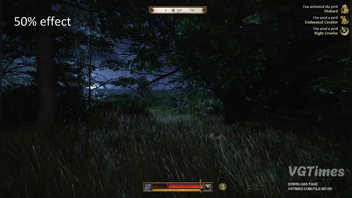 Kingdom Come: Deliverance 2 — Бачити в темряві