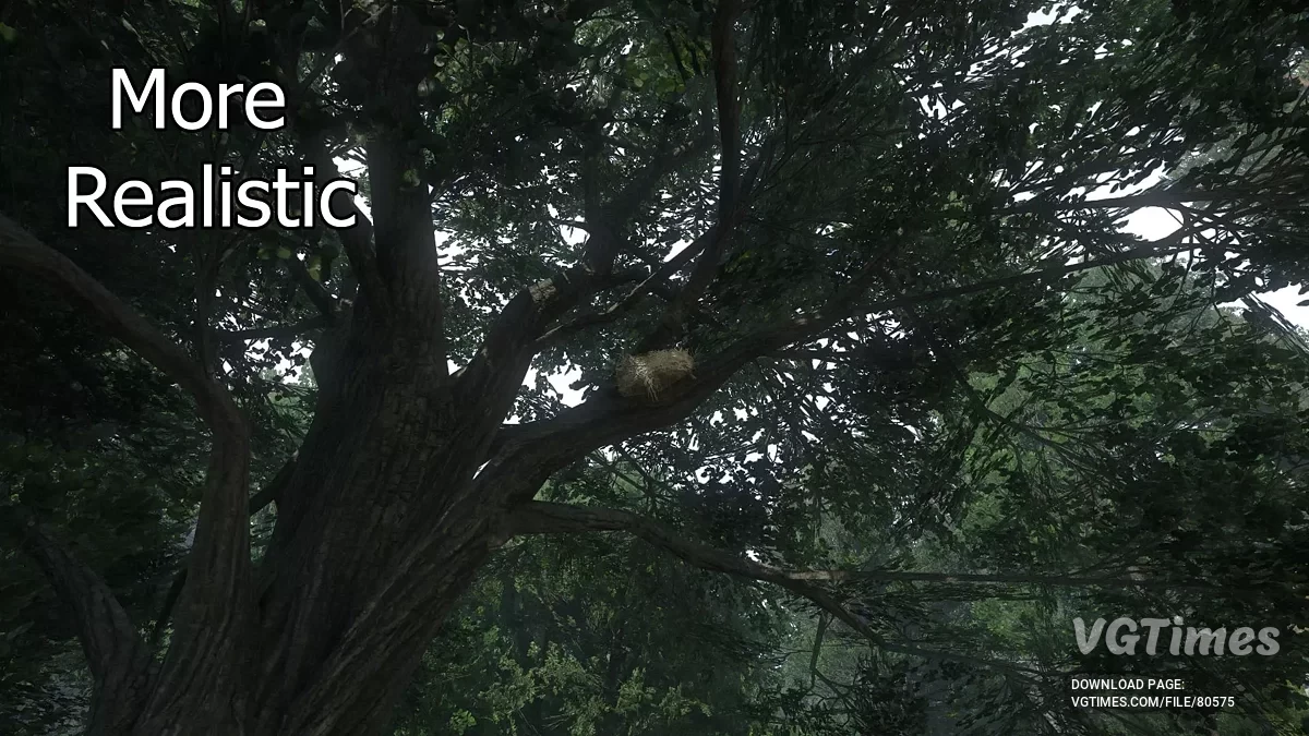 Kingdom Come: Deliverance 2 — Яскраві пташині гнізда