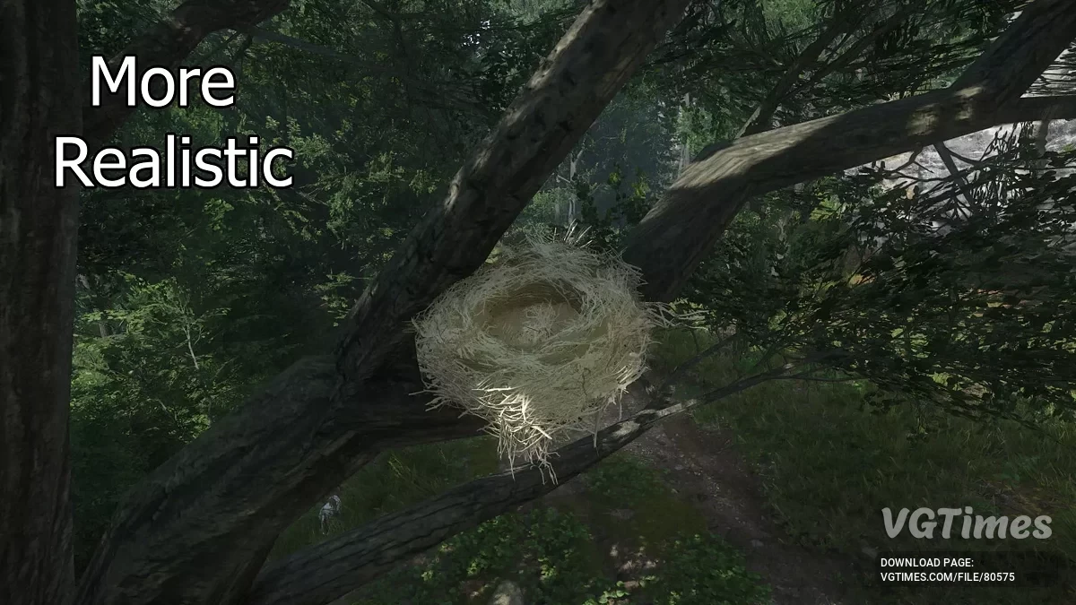 Kingdom Come: Deliverance 2 — Яскраві пташині гнізда