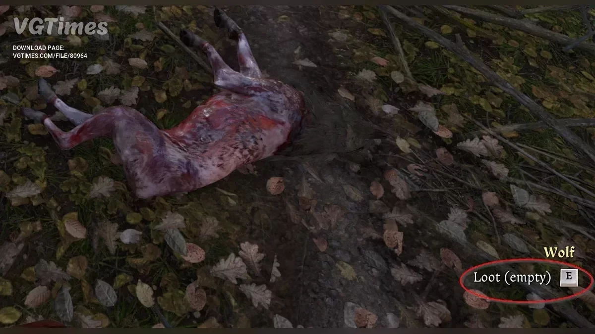 Kingdom Come: Deliverance 2 — Інформація про здобич