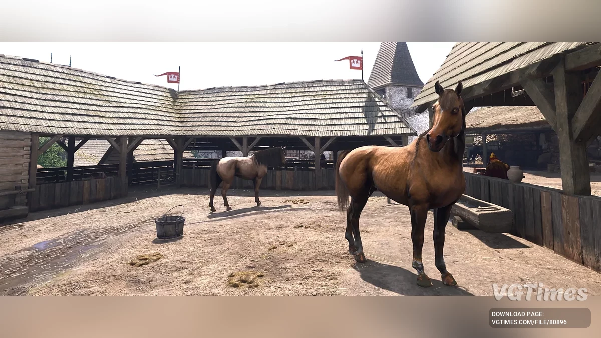 Kingdom Come: Deliverance 2 — Покращення коней