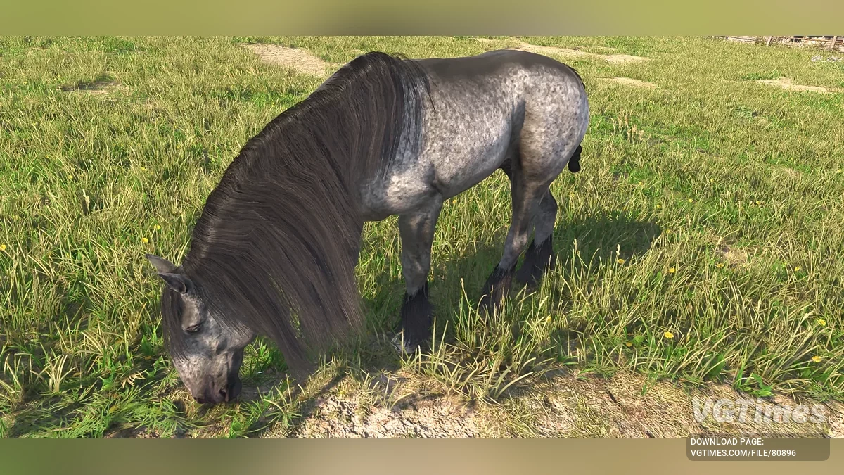 Kingdom Come: Deliverance 2 — Покращення коней