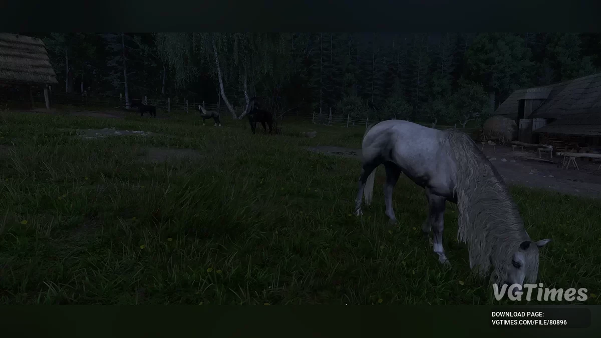 Kingdom Come: Deliverance 2 — Покращення коней