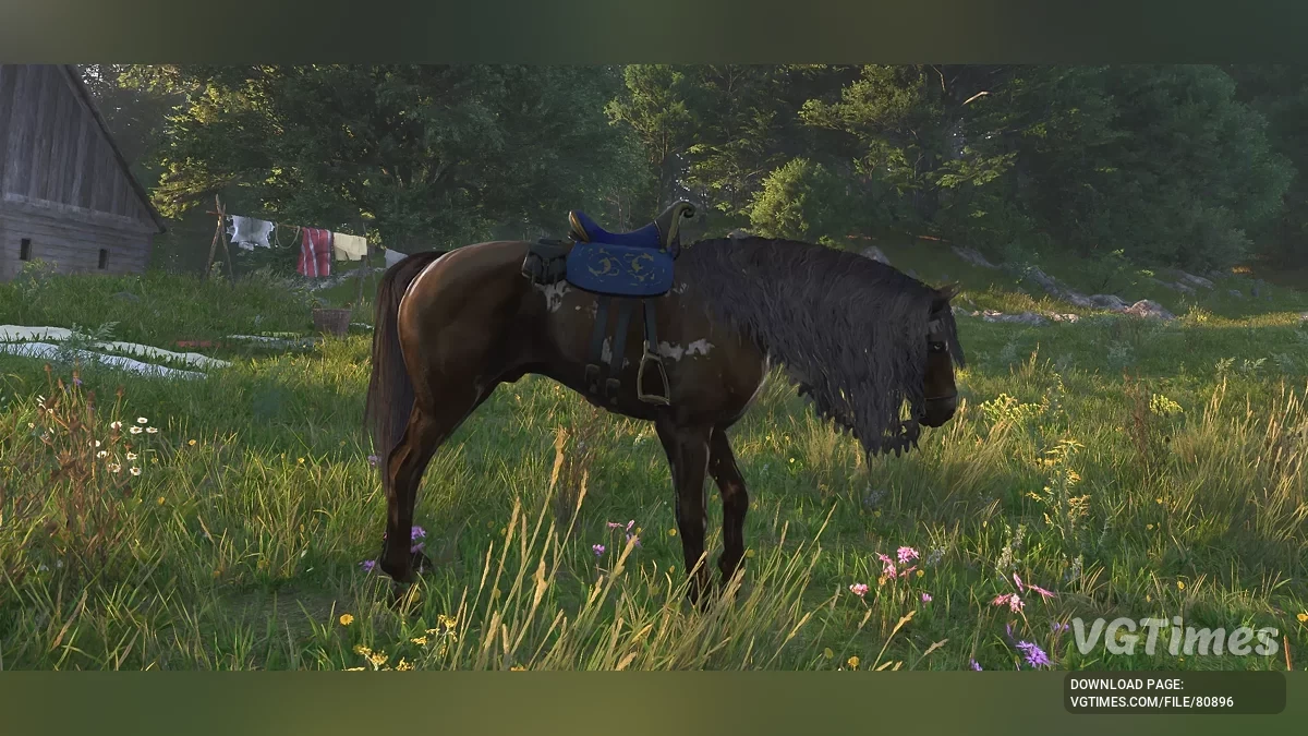 Kingdom Come: Deliverance 2 — Покращення коней