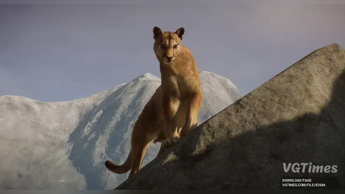 Planet Zoo — Аргентинська пума — новий вид