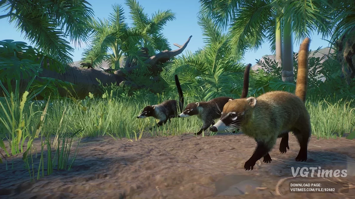 Planet Zoo — Białonose koati - nowy gatunek (1.19)