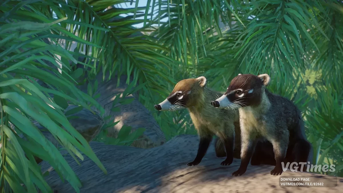 Planet Zoo — Białonose koati - nowy gatunek (1.19)