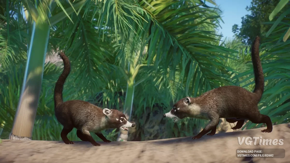 Planet Zoo — Białonose koati - nowy gatunek (1.19)