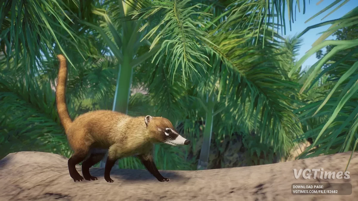 Planet Zoo — Białonose koati - nowy gatunek (1.19)