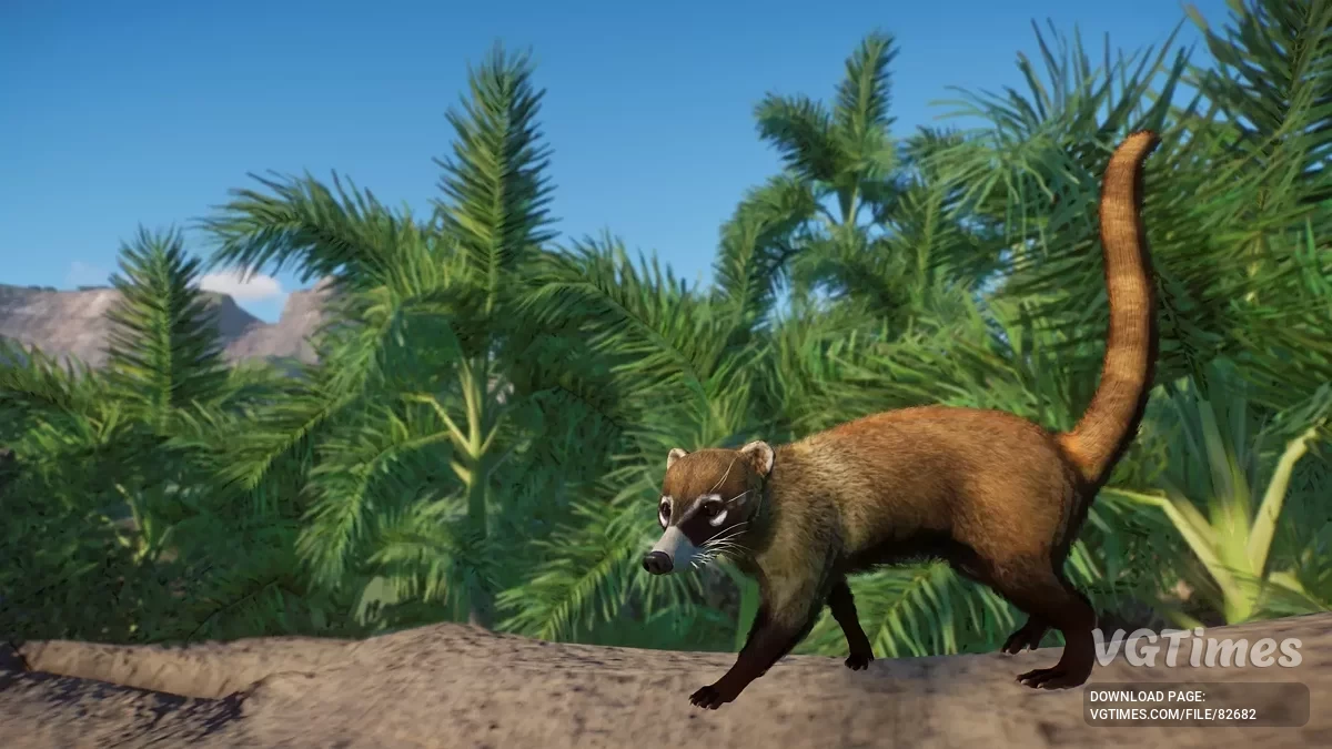 Planet Zoo — Białonose koati - nowy gatunek (1.19)