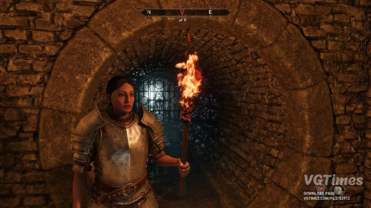 The Elder Scrolls 4: Oblivion Remastered — Elana Caçadora - Preset Feminino