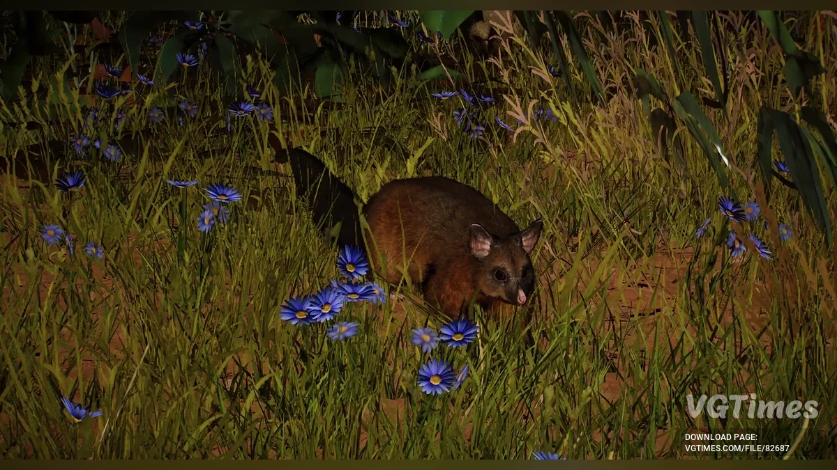 Planet Zoo — Звичайний щеткохвостий поссум (кузу) — новий вид