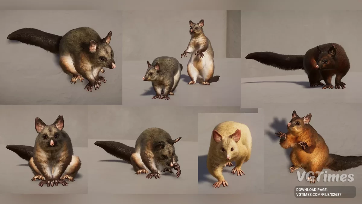 Planet Zoo — Звичайний щеткохвостий поссум (кузу) — новий вид