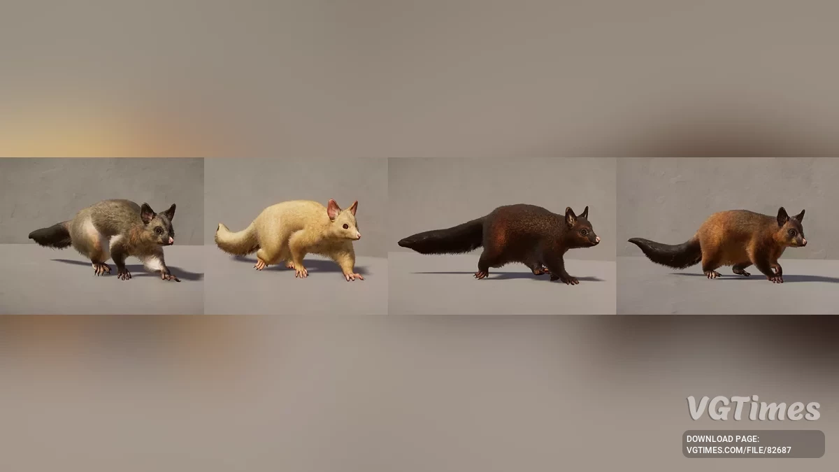 Planet Zoo — Звичайний щеткохвостий поссум (кузу) — новий вид