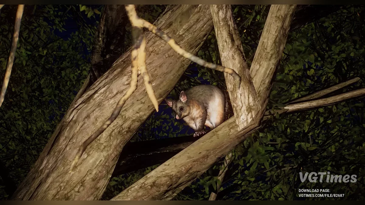 Planet Zoo — Звичайний щеткохвостий поссум (кузу) — новий вид
