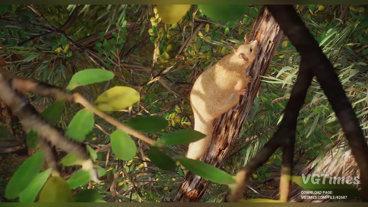 Planet Zoo — Звичайний щеткохвостий поссум (кузу) — новий вид