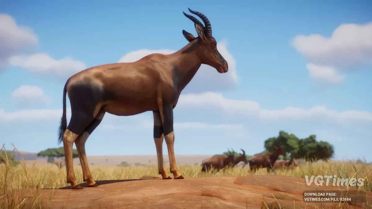 Planet Zoo — Топі — новий вид (1.19)