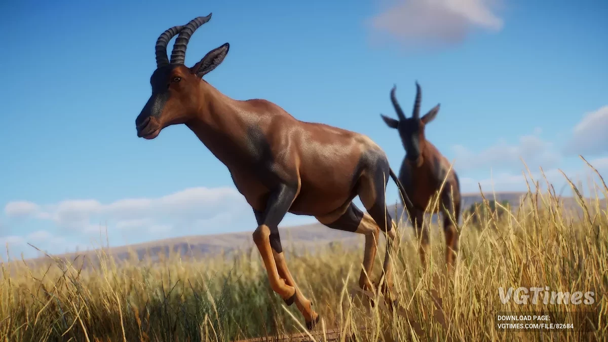 Planet Zoo — Топі — новий вид (1.19)
