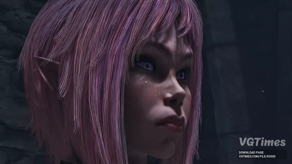 The Elder Scrolls 4: Oblivion Remastered — Ayaka - joven elfo