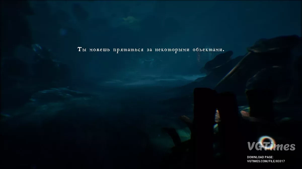 The Midnight Walk — Tradutor