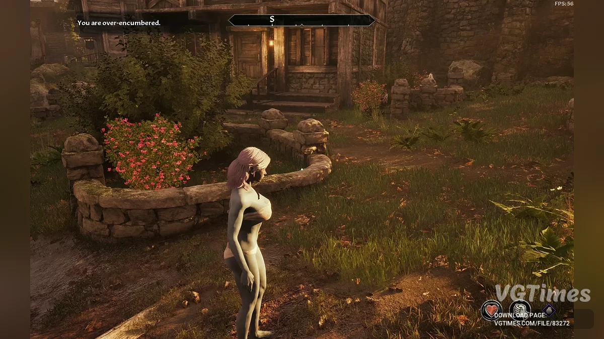 The Elder Scrolls 4: Oblivion Remastered — Elfos oscuros atléticos femeninos