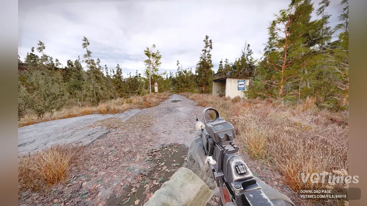 S.T.A.L.K.E.R. 2: Heart of Chornobyl — Bardziej realistyczny las